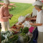 Henderson Farmers Market every Tuesday this summer.
