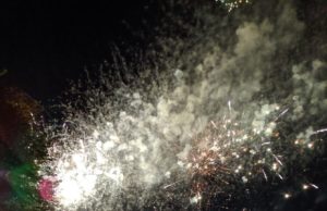 Summer Snapshots (Week of July 15)