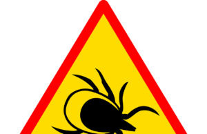 Tick Flagging