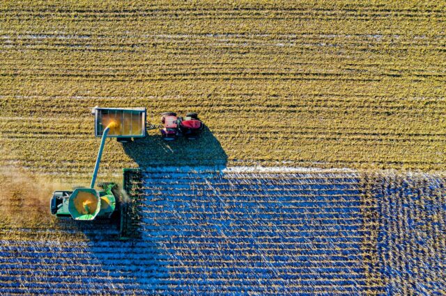 top view of green field