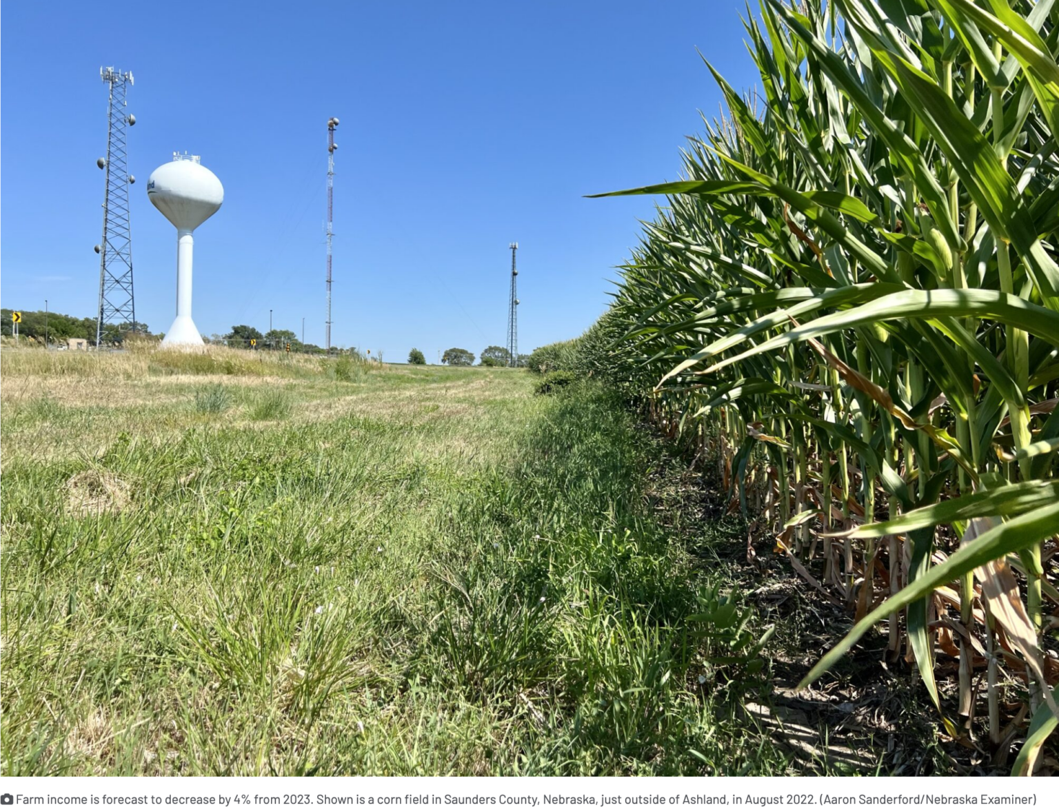 Latest 2024 Farm Income Forecast Shows Overall Decrease From 2023 ...