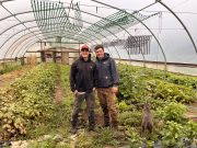 Stone Quality Produce Flourishing