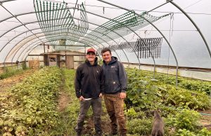 Stone Quality Produce Flourishing