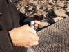 EPA Sued Over Public Records Request for Nitrite Research