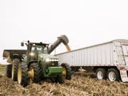 Nebraska Corn: Safety Today, Success Tomorrow